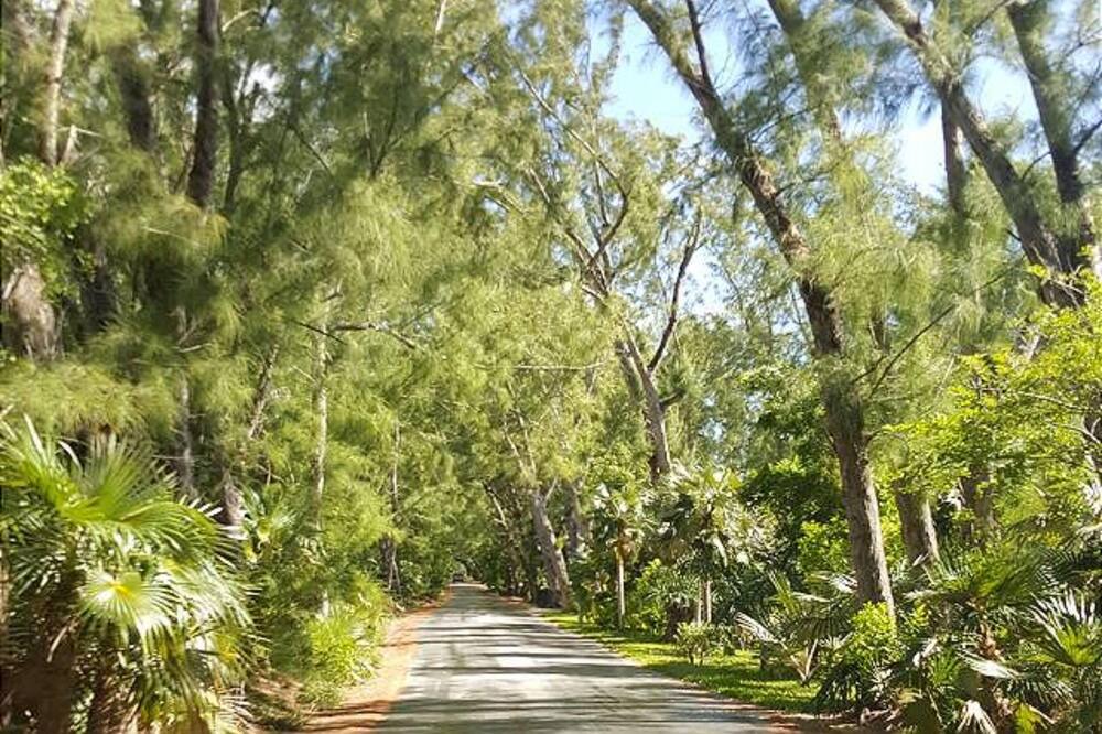 Photo of Outdoor in Savannah Sound