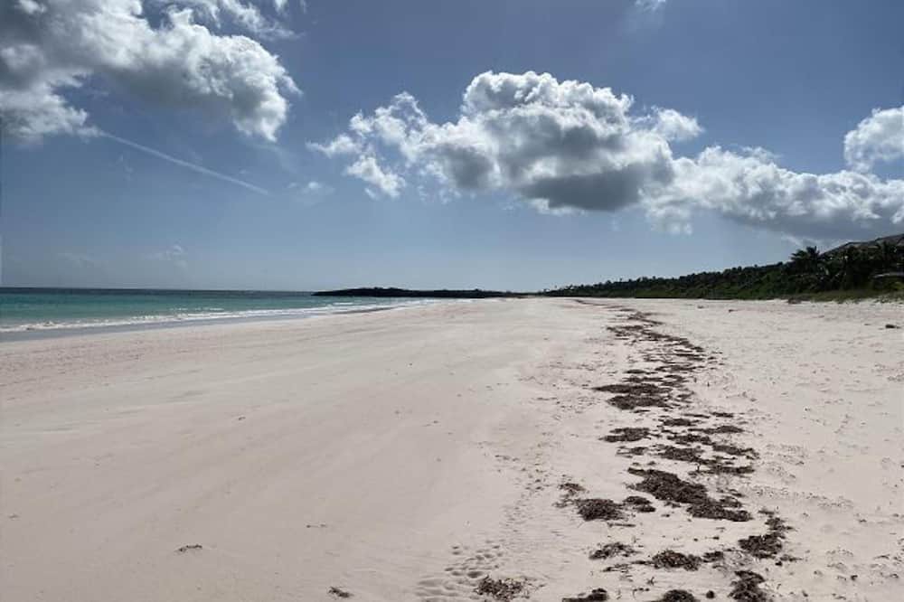 Photo of Outdoor in Savannah Sound