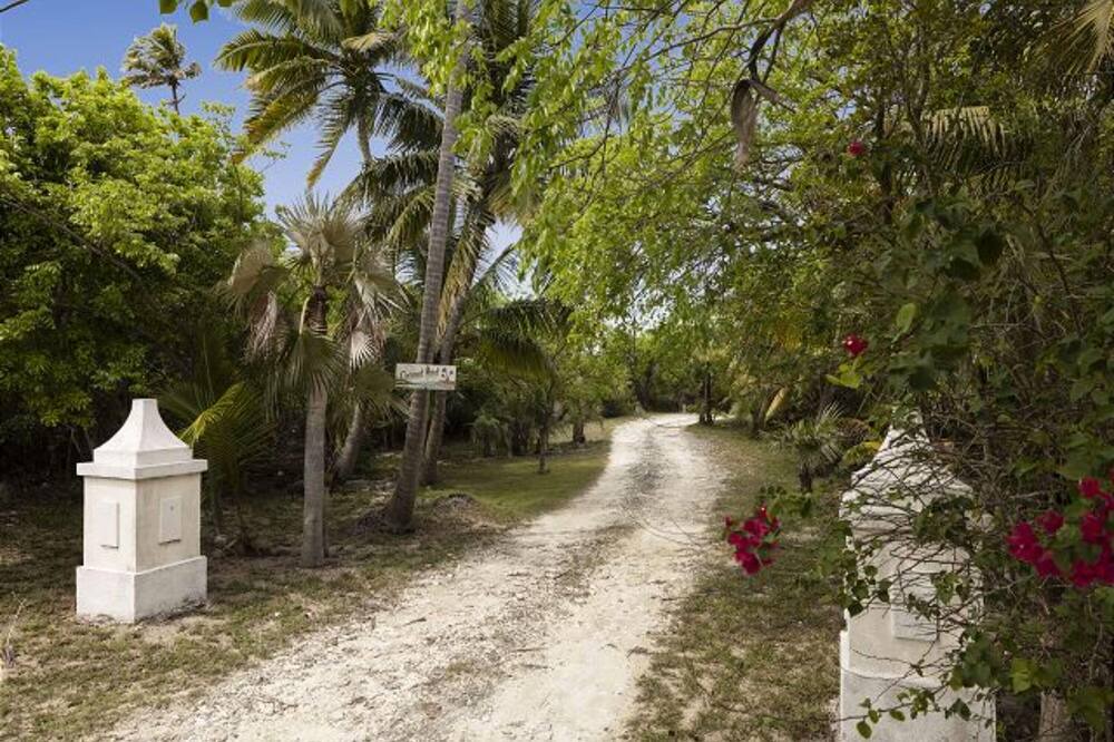 Photo of Outdoor in Double Bay