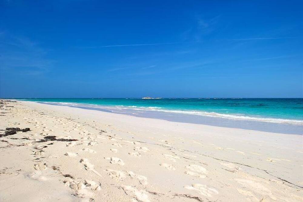 Photo of Outdoor in Double Bay