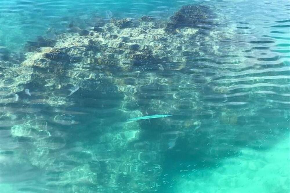 Photo of Outdoor in Governor's Harbour