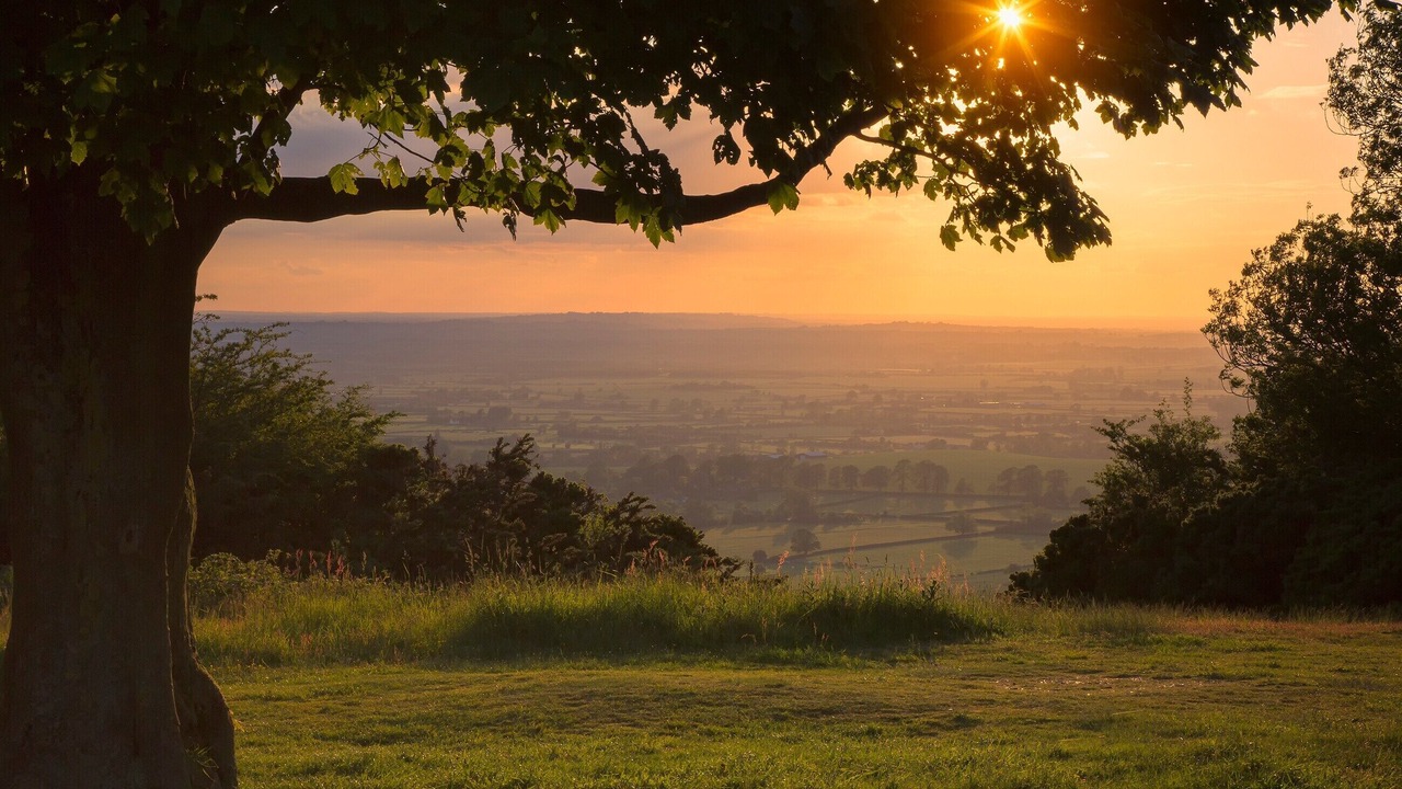 Photo of Outdoor in Lacey Green