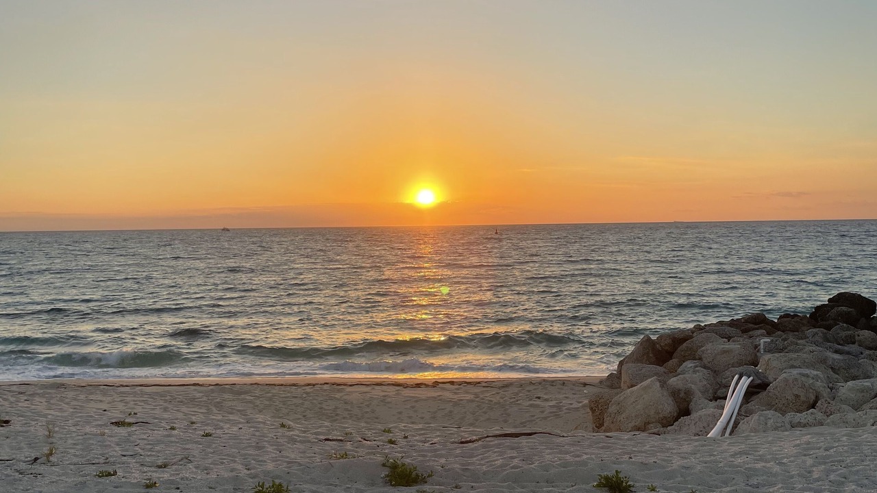 Photo of Others in South Bimini