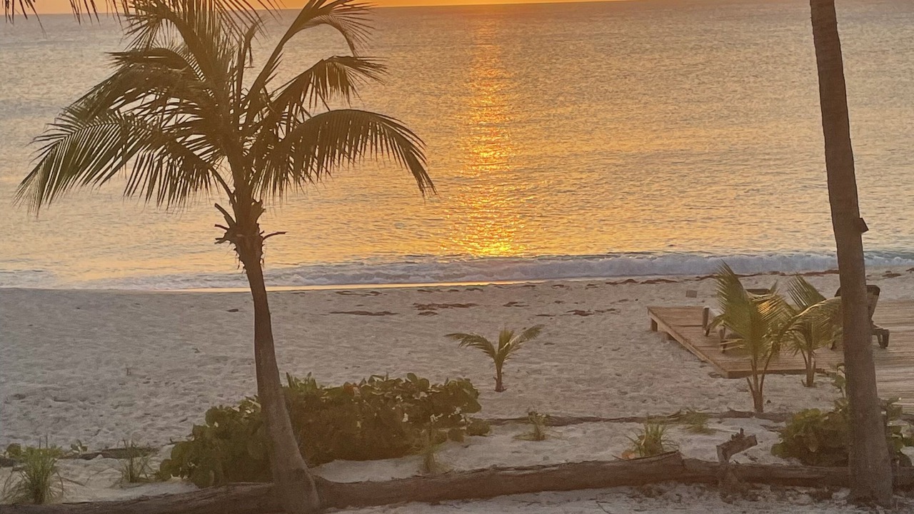 Photo of Others in South Bimini