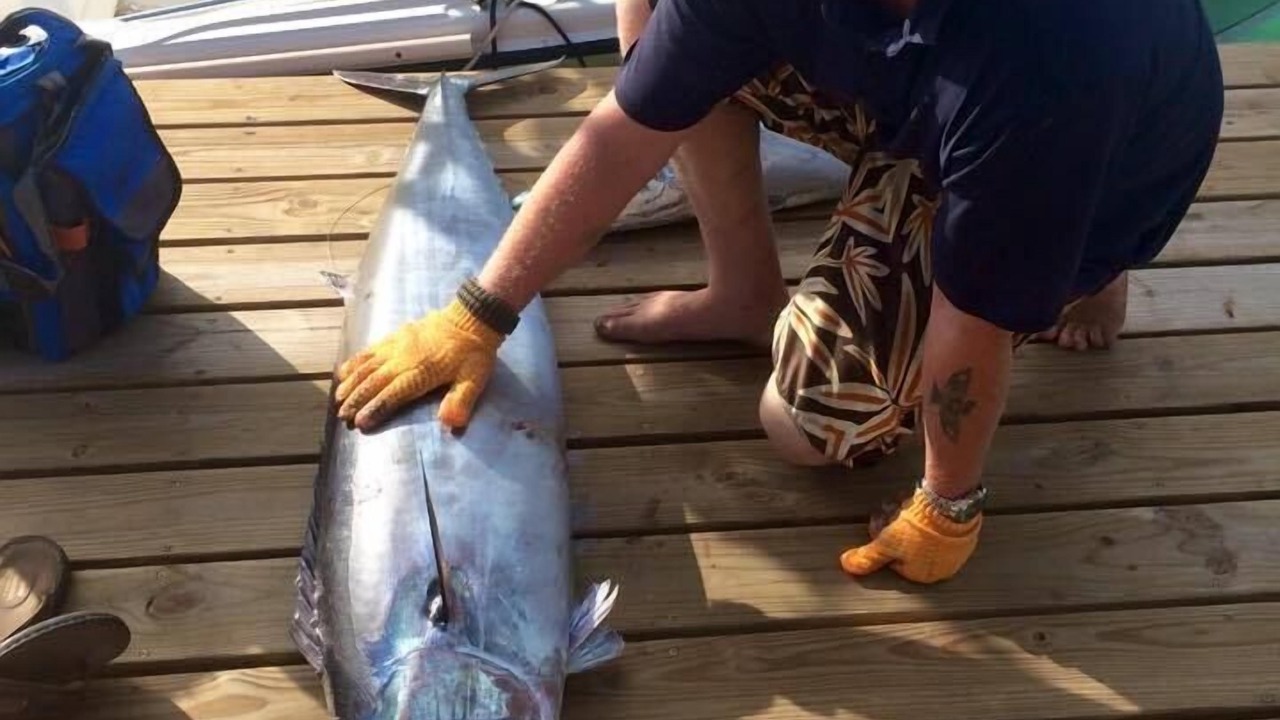 Photo of Others in Savannah Sound