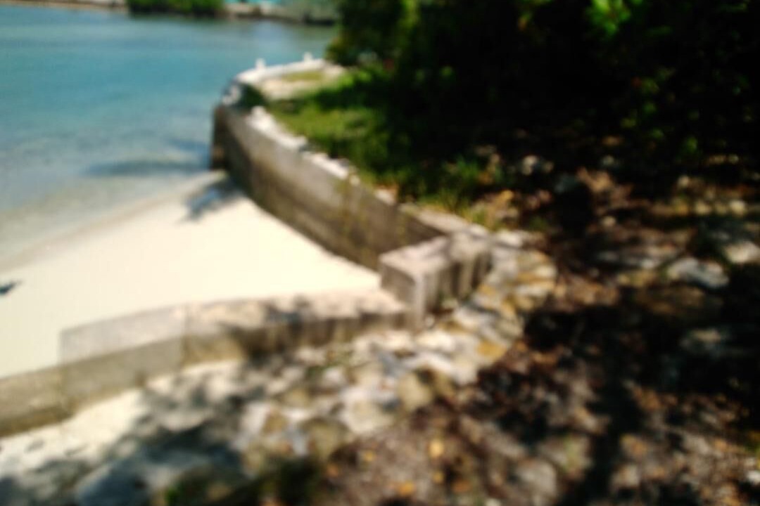 Photo of Others in George Town