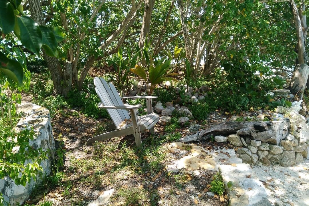 Photo of Outdoor in George Town