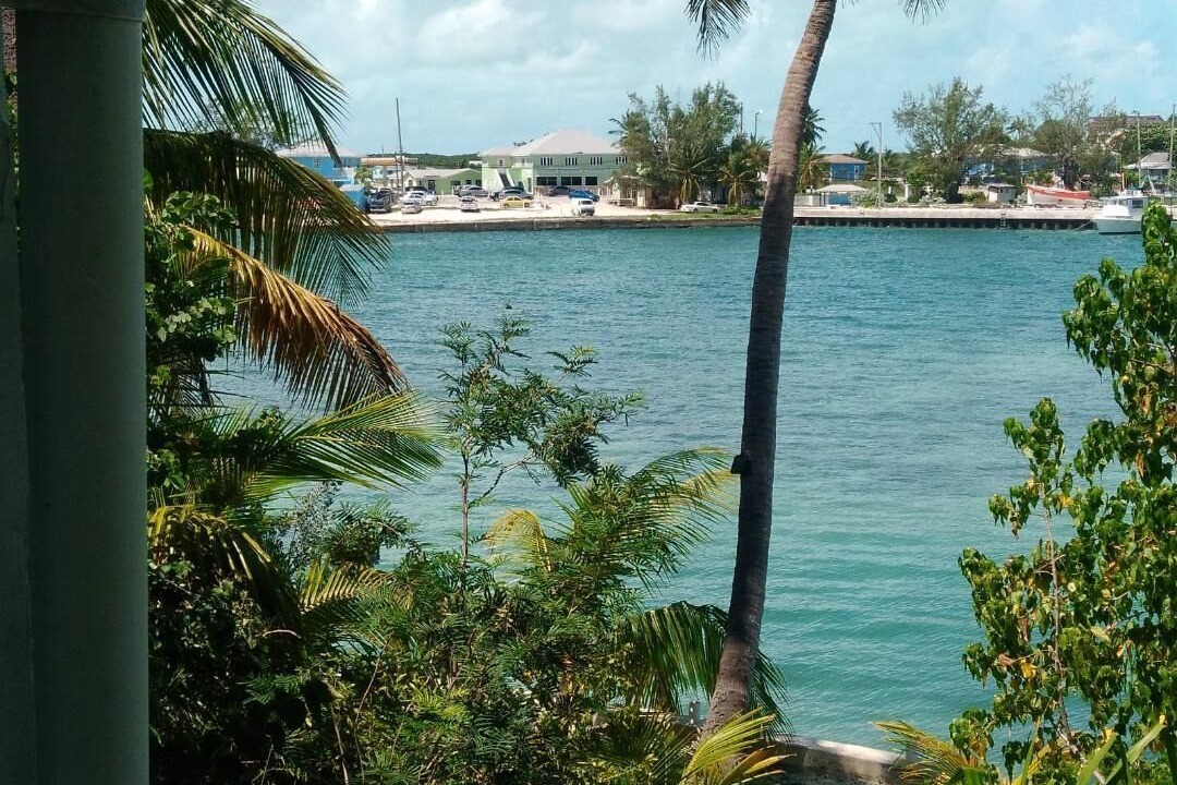 Photo of Others in George Town