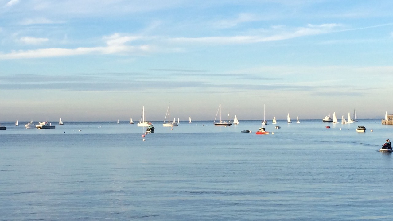 Photo of Others in Swanage