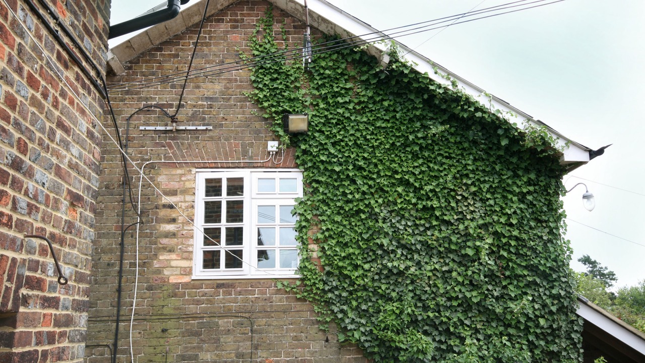 Photo of Outdoor in Ivinghoe