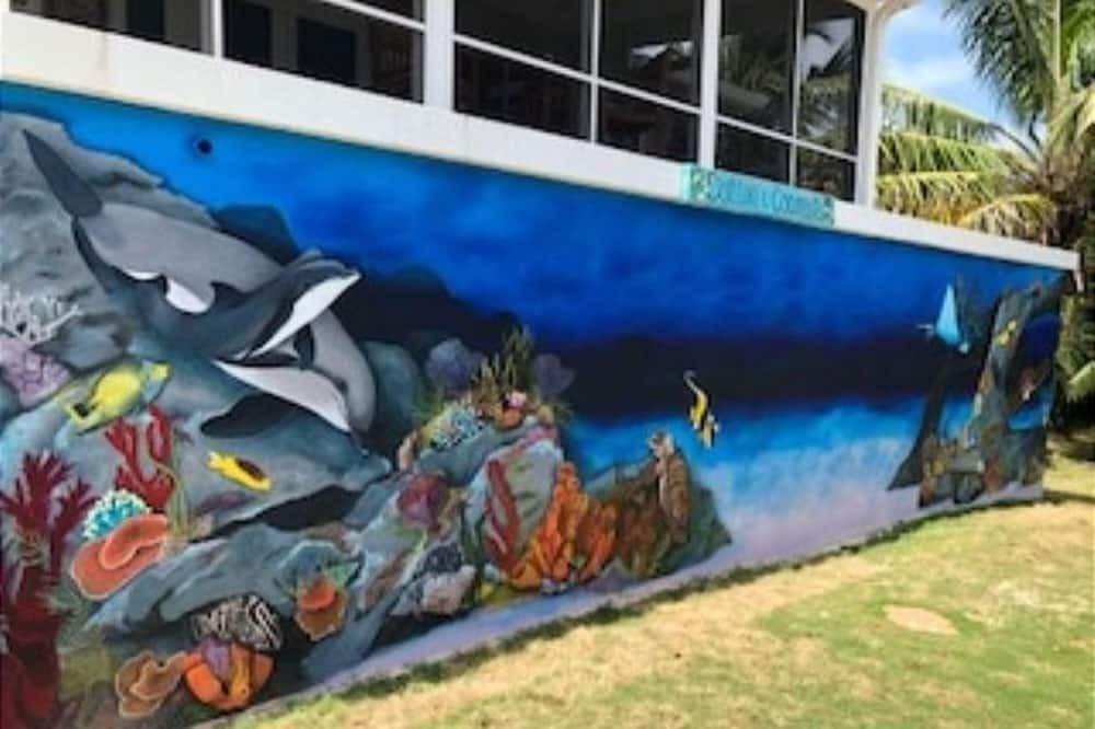Photo of Outdoor in Rainbow Bay