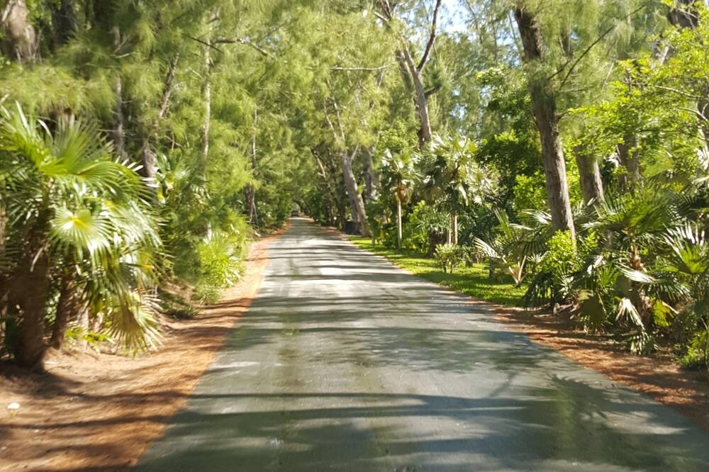 Photo of Outdoor in Savannah Sound