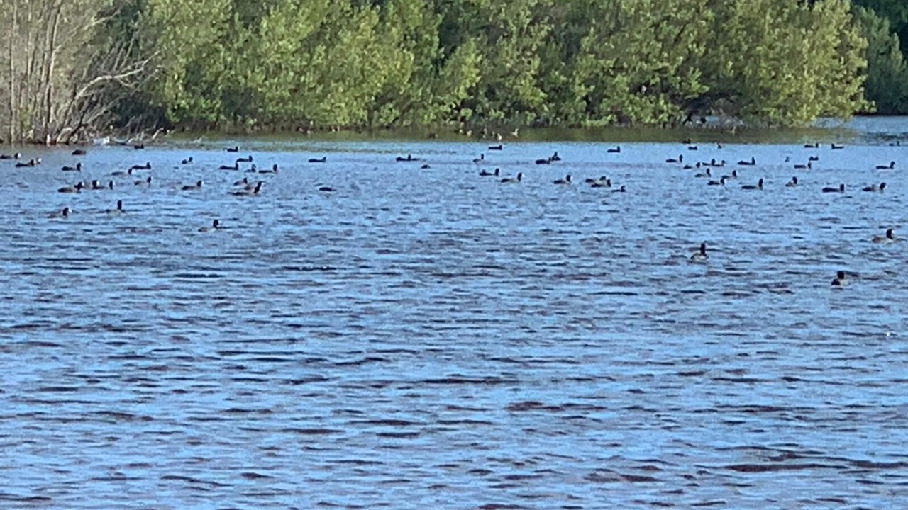 Photo of Others in Calvin Hill