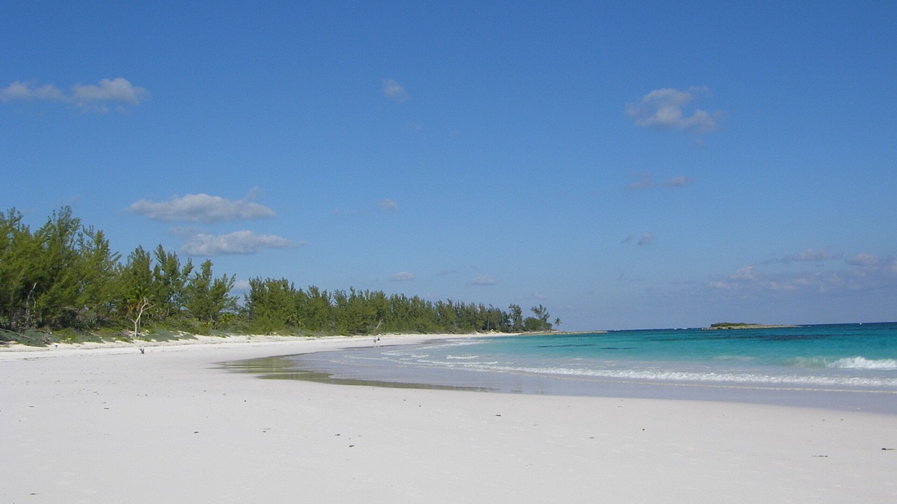Photo of Others in Rainbow Bay