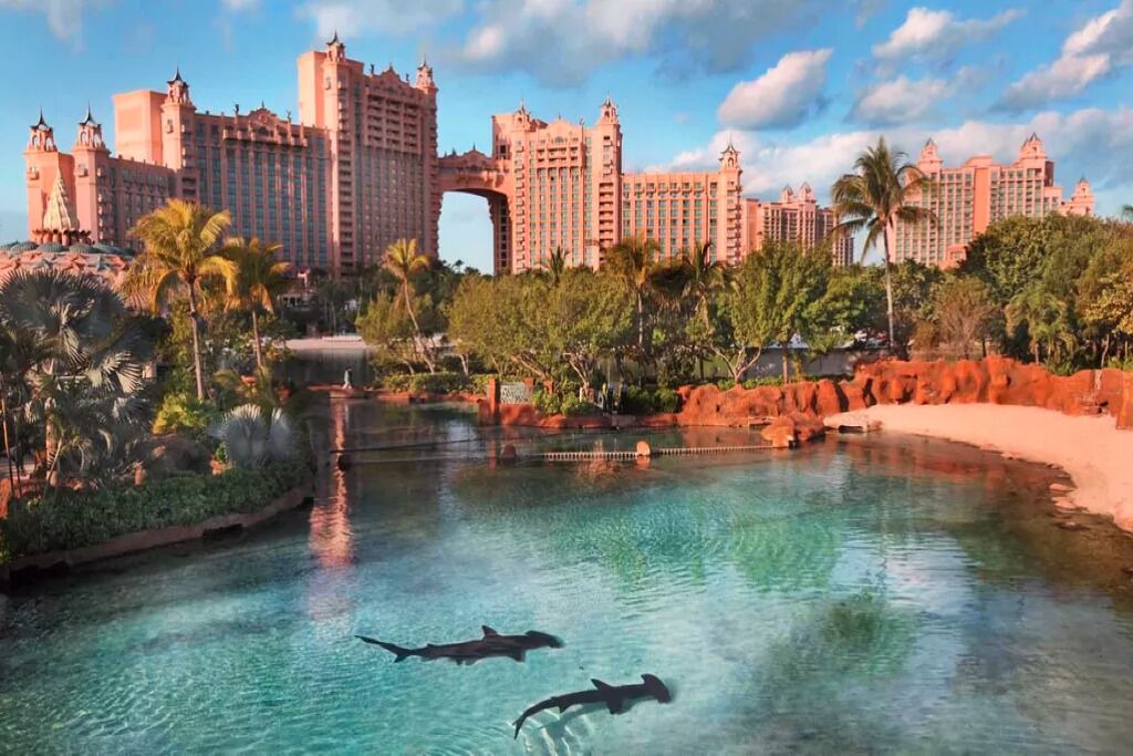 Photo of Outdoor in Paradise Island
