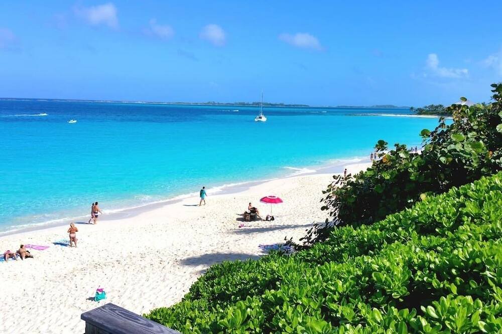 Photo of Others in Paradise Island
