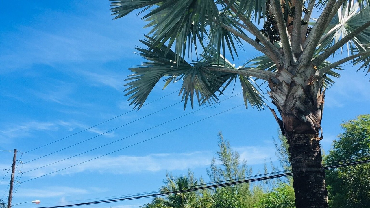 Photo of Outdoor in Great Exuma