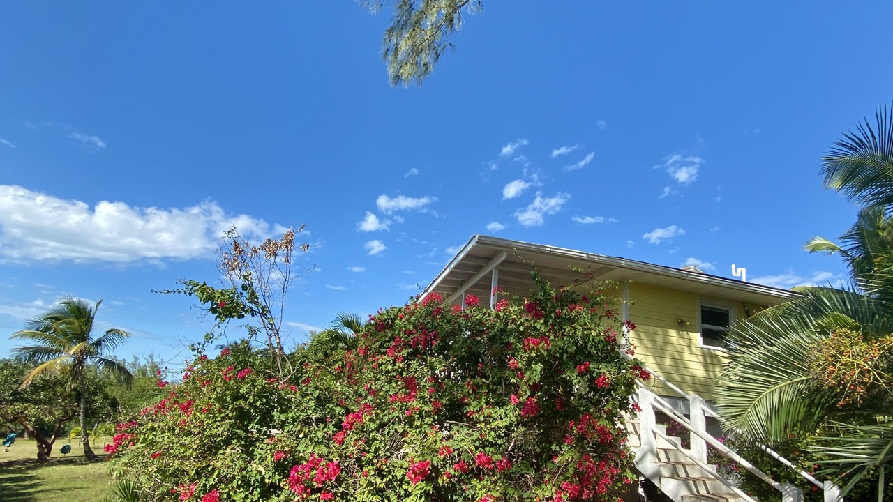 Photo of Outdoor in Rainbow Bay