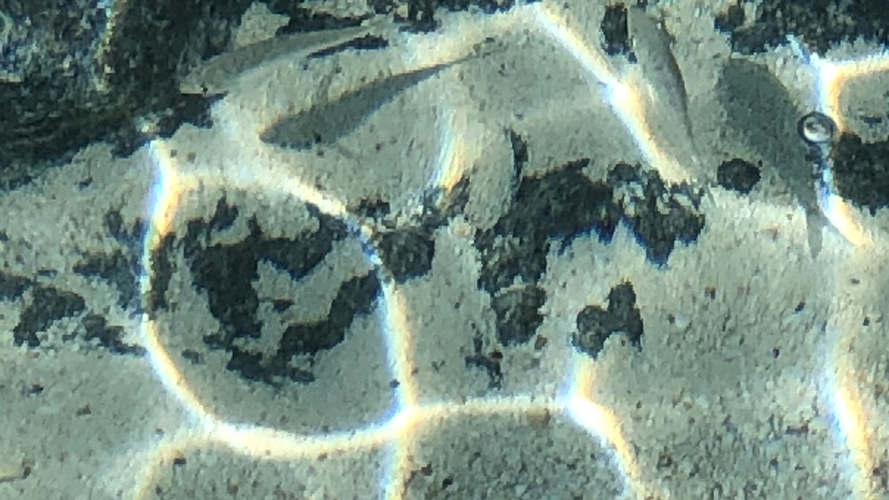 Photo of Others in Rainbow Bay