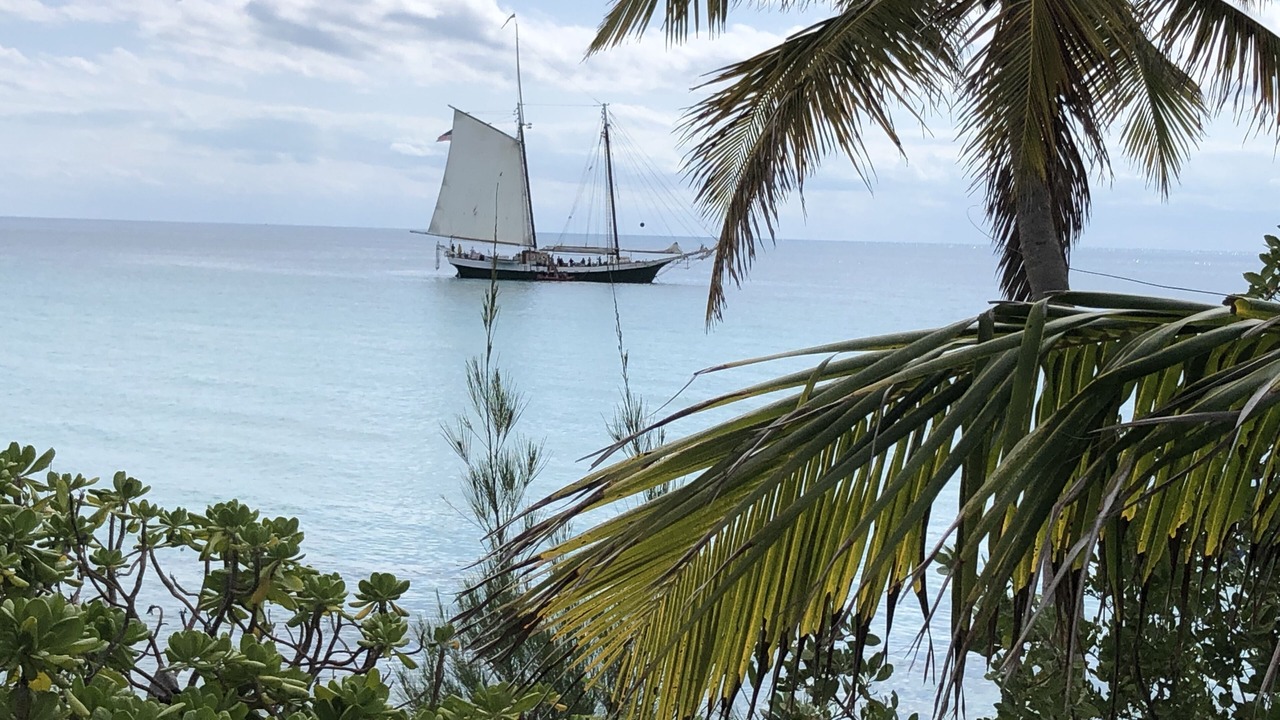 Photo of Outdoor in Rainbow Bay