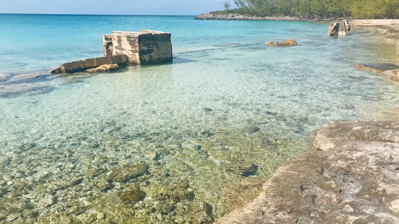 Photo of Others in Winding Bay