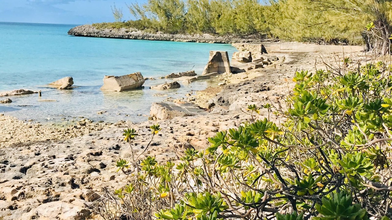 Photo of Others in Winding Bay
