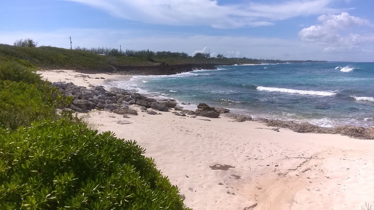 Photo of Others in Rainbow Bay