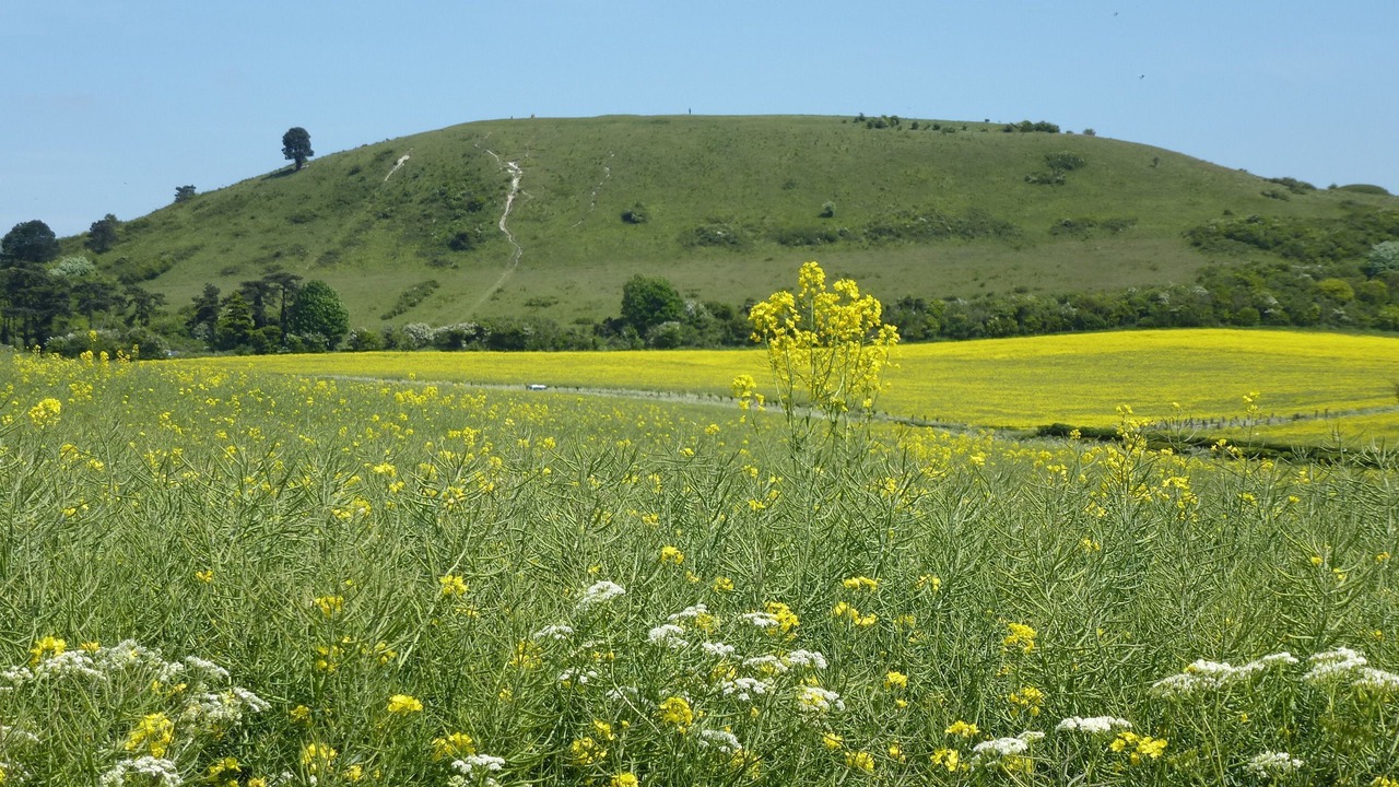 Photo of Others in Ivinghoe
