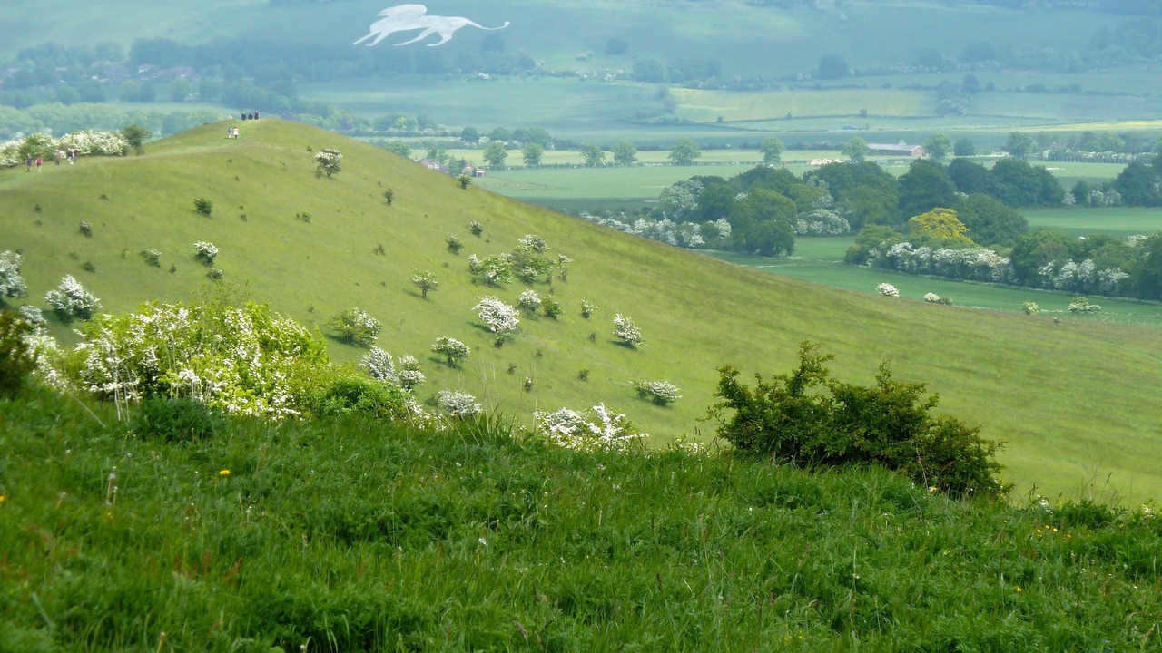Photo of Others in Ivinghoe
