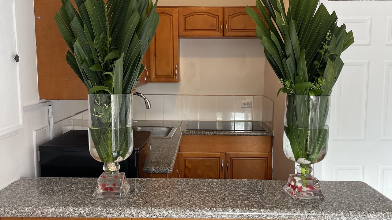 Photo of Kitchen in Coral Harbour