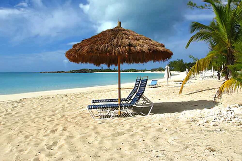 Photo of Others in New Bight