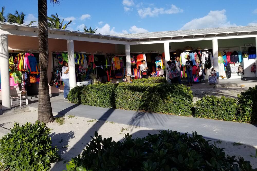Photo of Outdoor in Alice Town