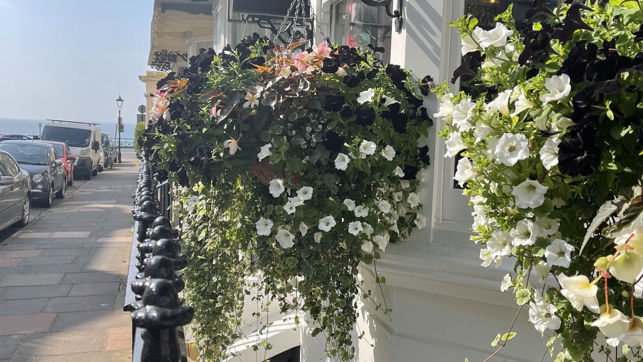 Photo of Outdoor in Kemptown