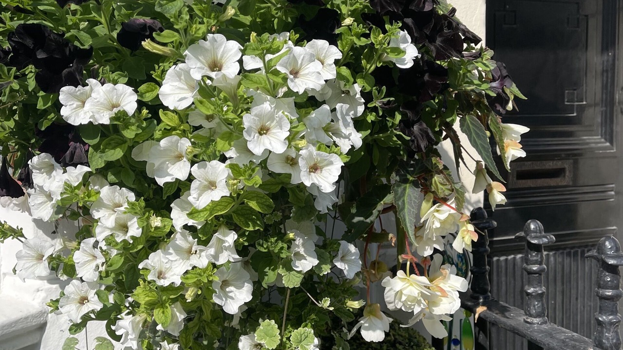 Photo of Outdoor in Kemptown