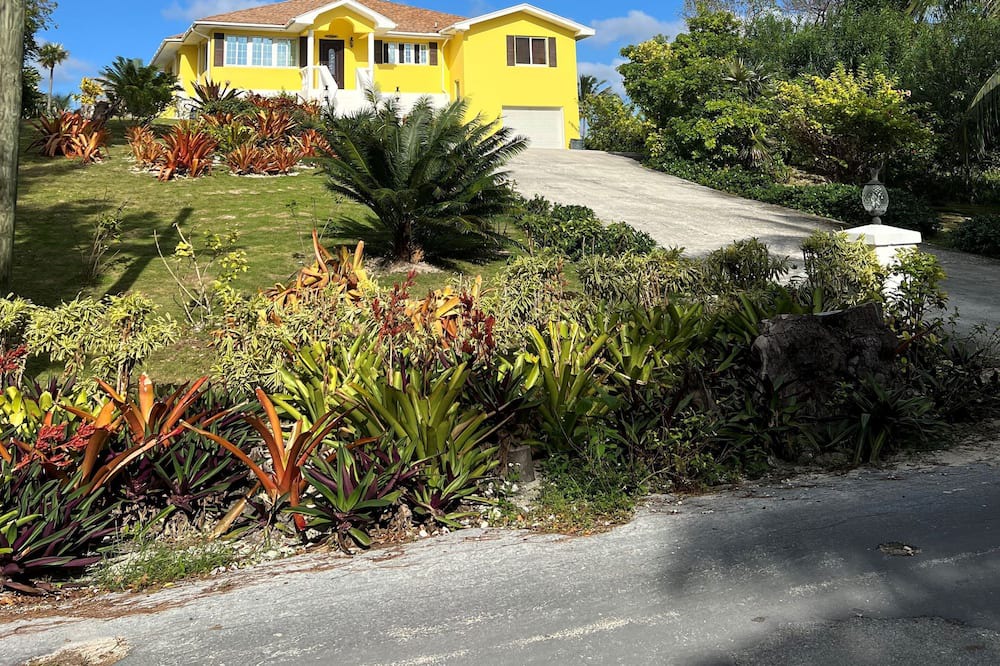 Photo of Outdoor in North Palmetto Point