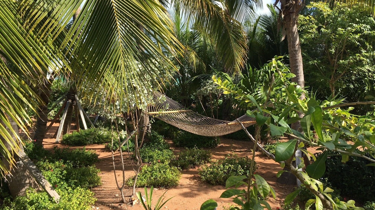 Photo of Outdoor in Spanish Wells