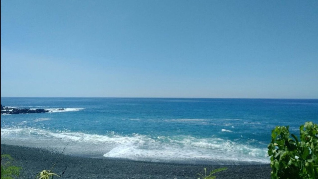 Photo of Others in Opihihale
