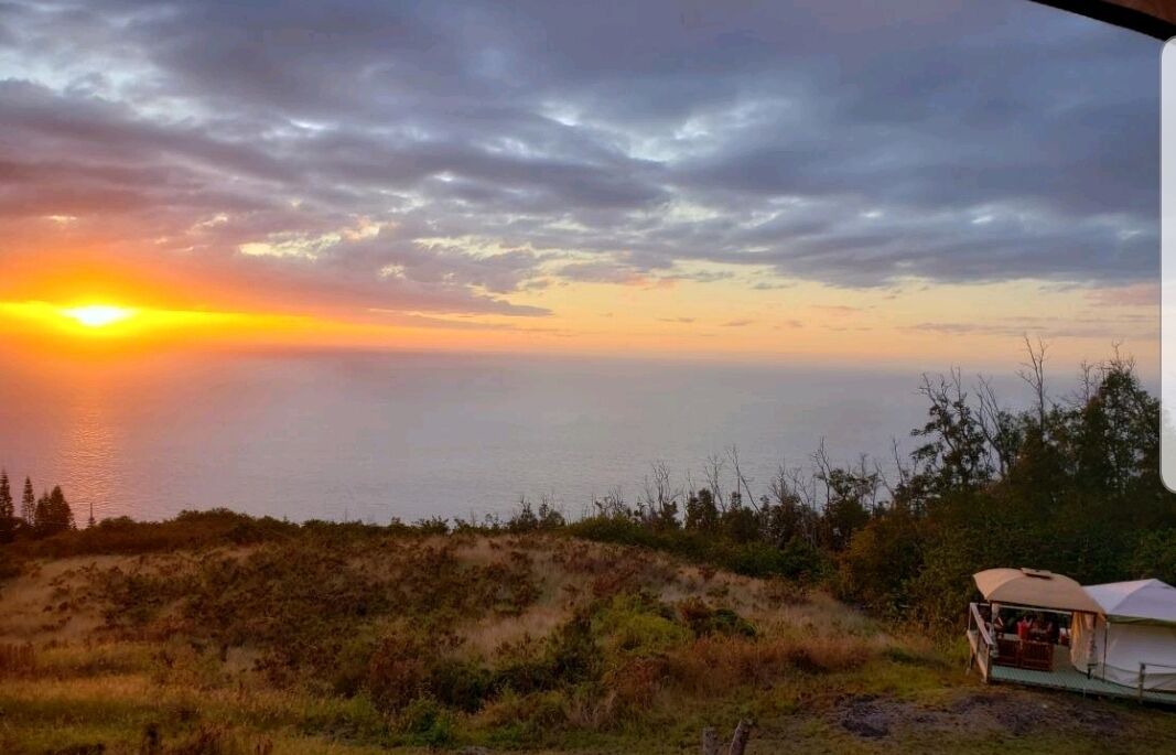 Photo of Others in Opihihale