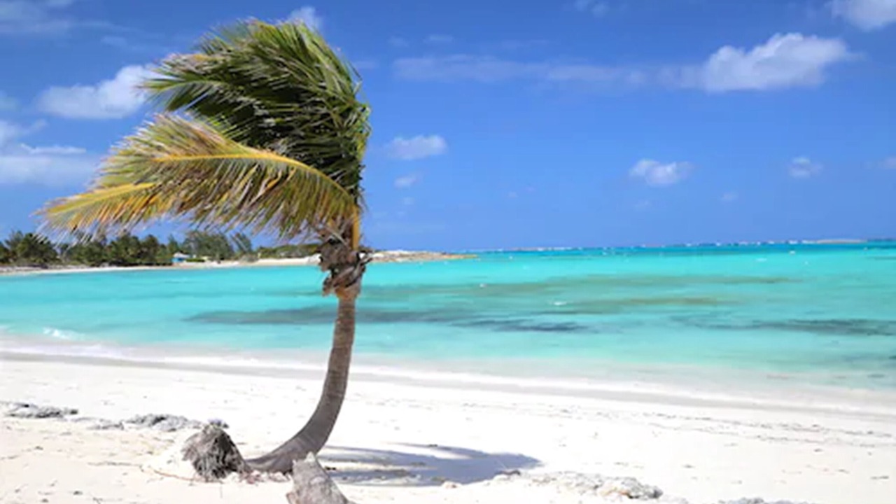 Photo of Others in Stocking Island