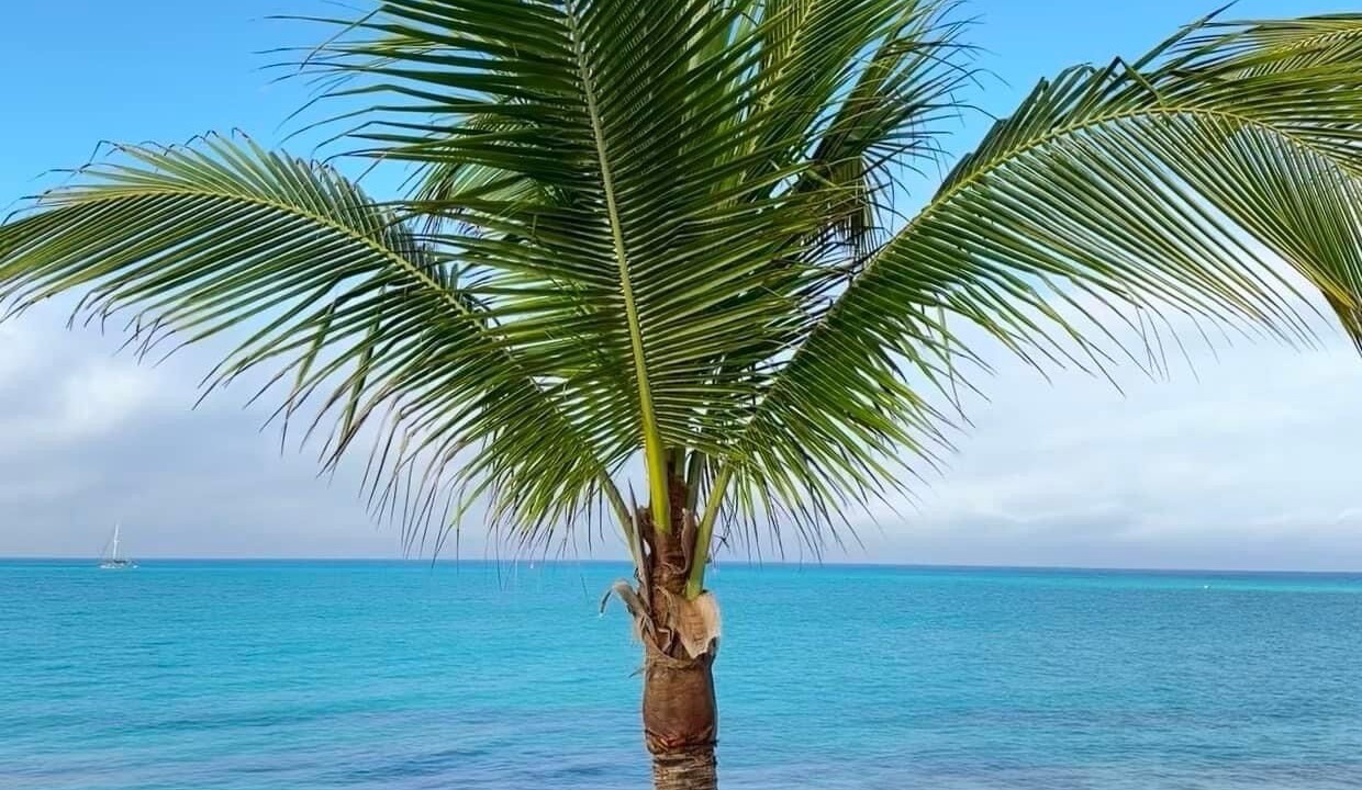 Photo of Others in South Bimini