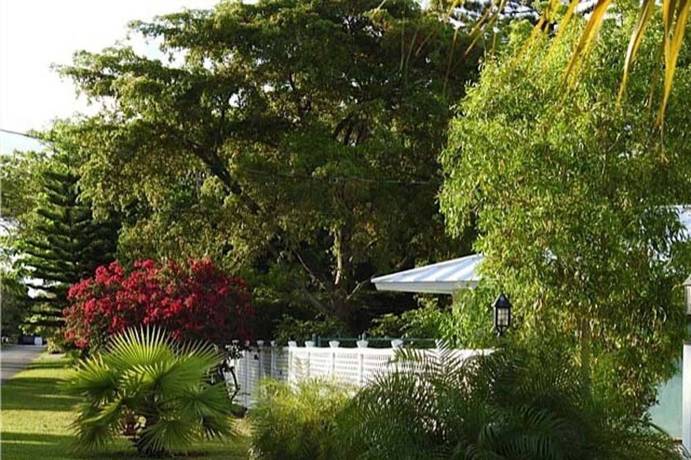 Photo of Outdoor in Windsor Park