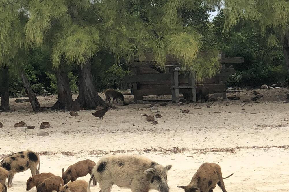 Photo of Others in Treasure Cay