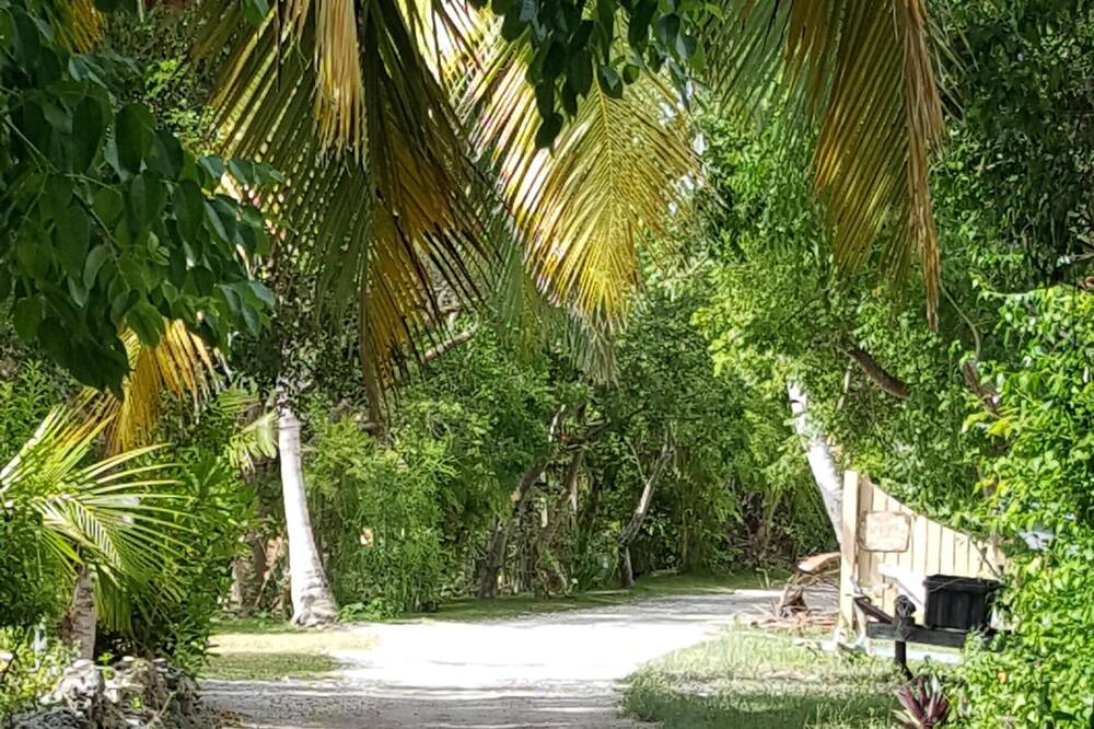 Photo of Others in Lubbers Quarters Cay