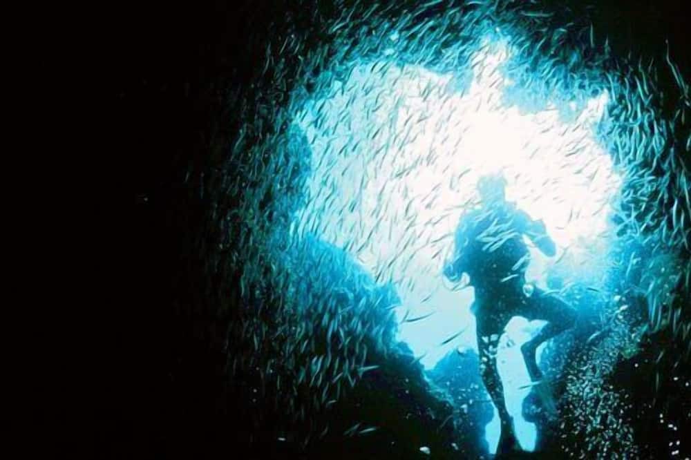 Photo of Others in Bennett's Harbour