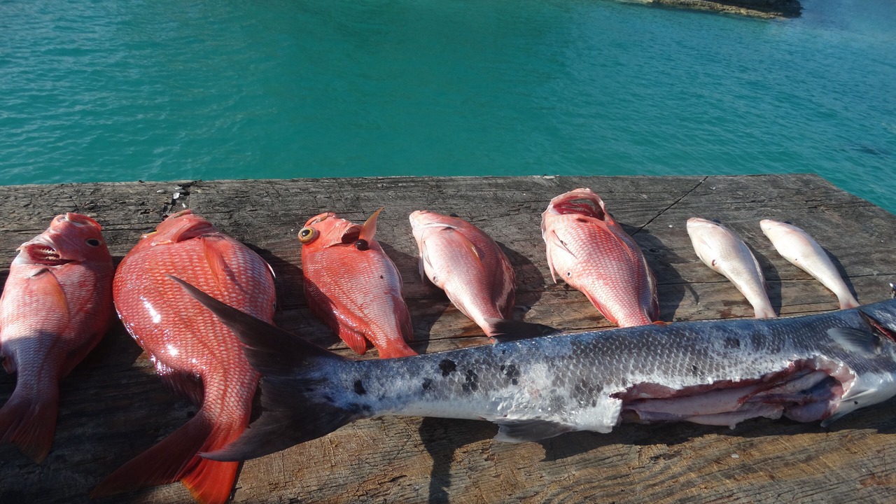Photo of Outdoor in San Salvador Island