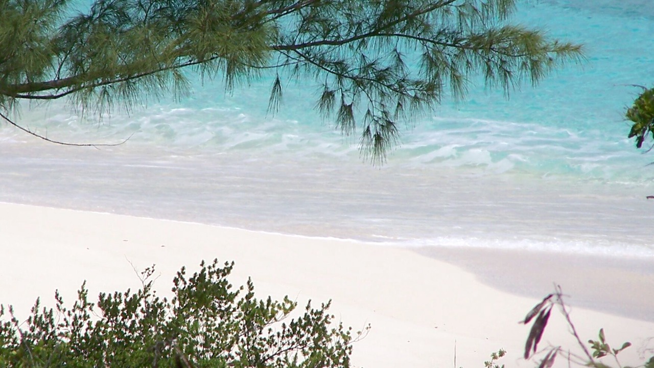 Photo of Others in San Salvador Island