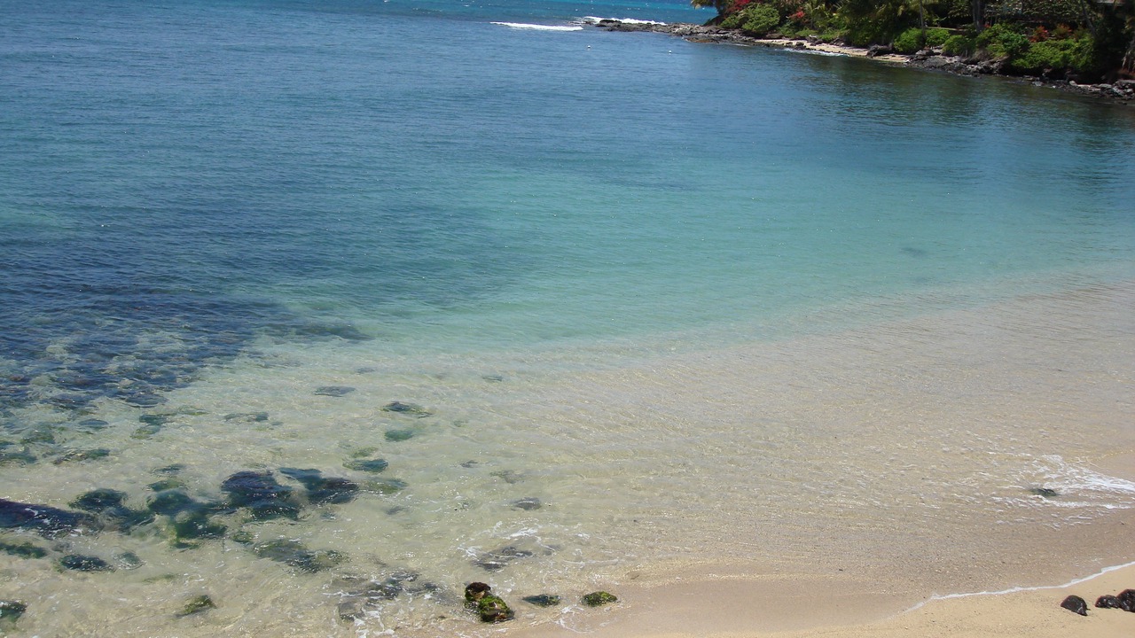 Photo of Others in Kahana