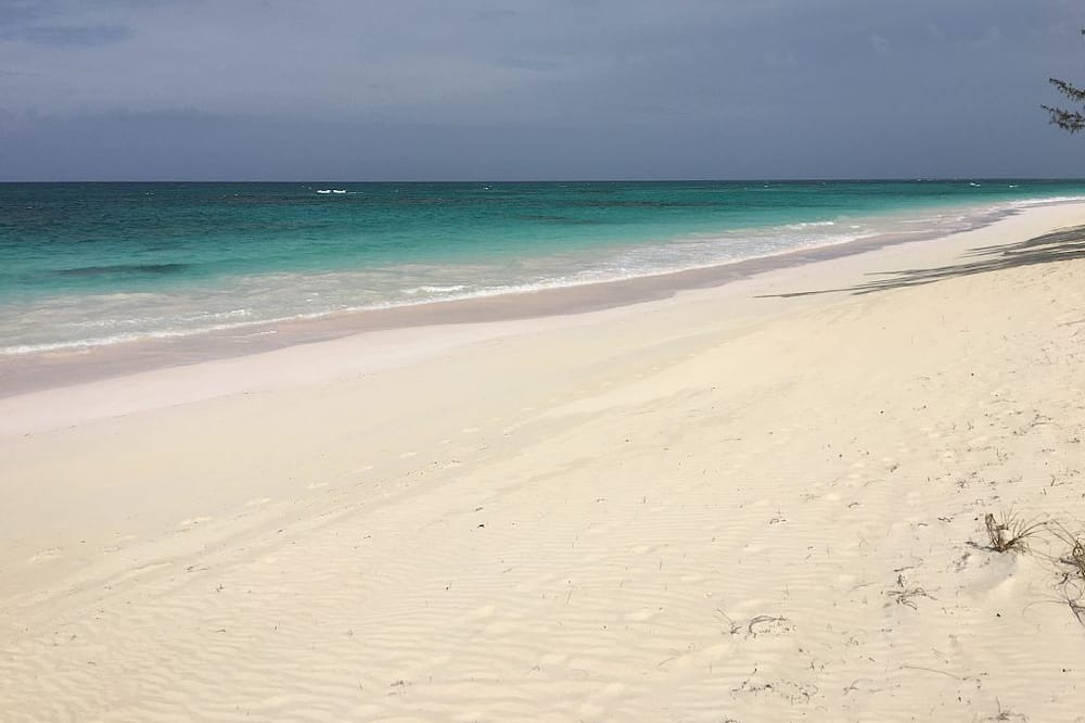 Photo of Others in North Palmetto Point