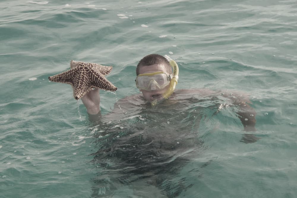 Photo of Others in Bennett's Harbour