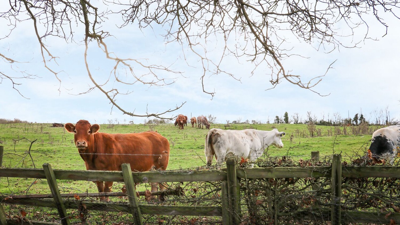 Photo of Outdoor in Twywell